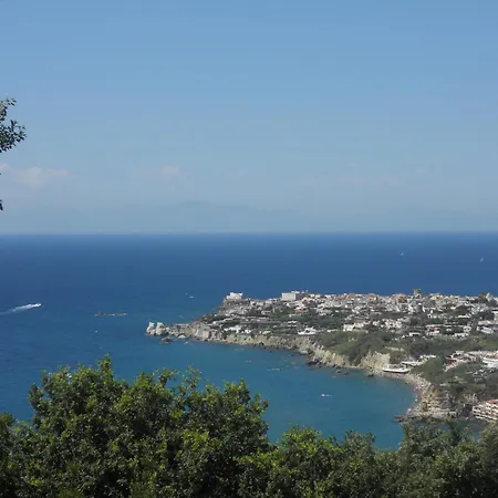 Sweetposeidon Forio di Ischia